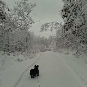 Meet your Posher, Colleen